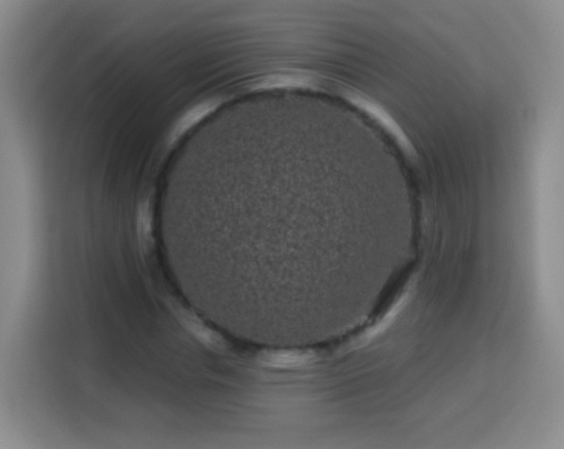 X0000113940826200910021300