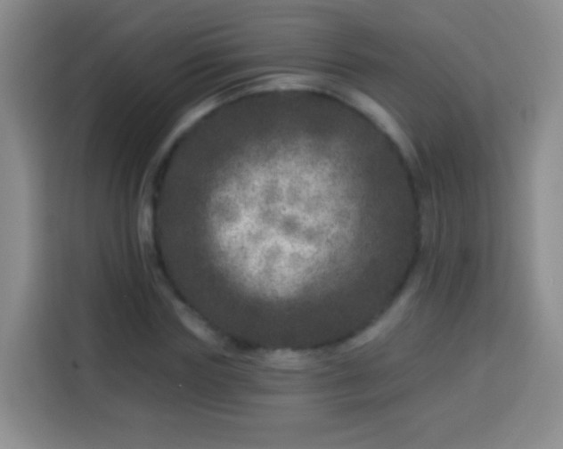 X0000113940827200910021300