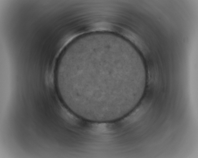 X0000113940828200910021301