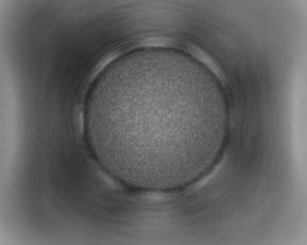 X0000113940829200910021301