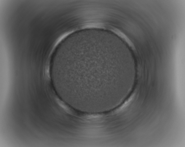 X0000113940830200910021301