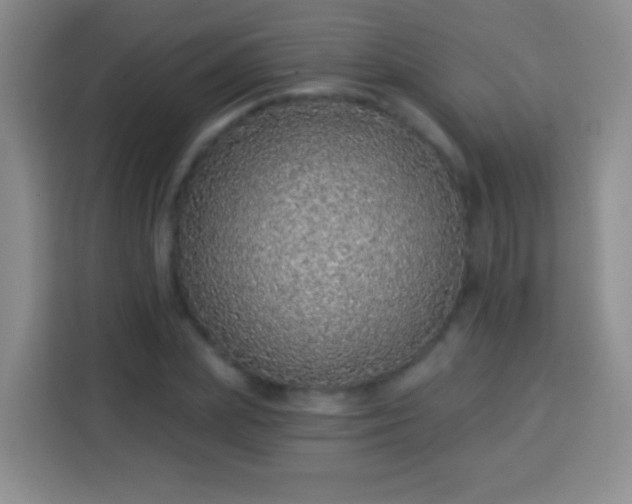 X0000113940831200910021301