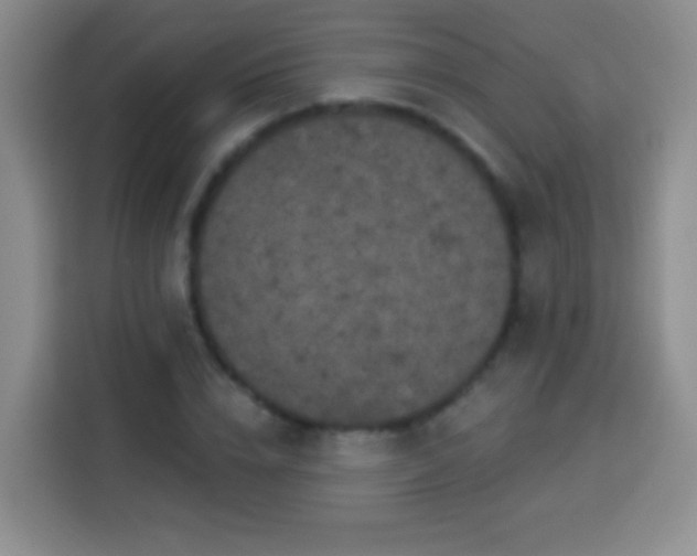 X0000113940832200910021301