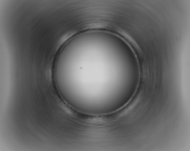 X0000113940834200910021301