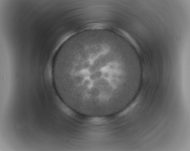 X0000113940835200910021301