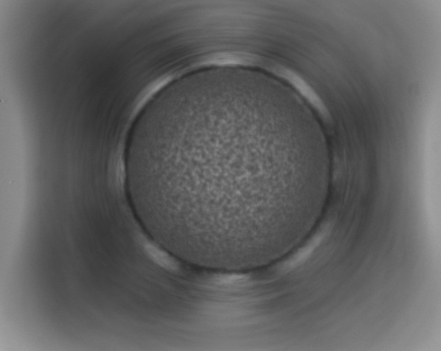 X0000113940837200910021301