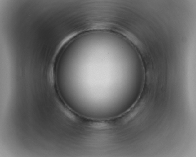 X0000113940838200910021301