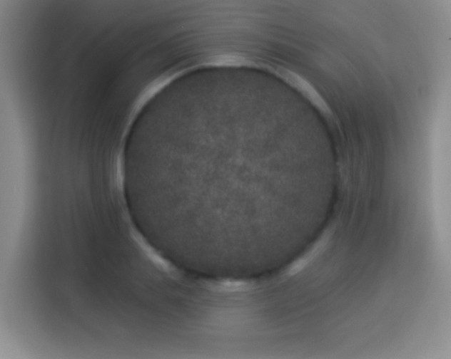 X0000113940839200910021301