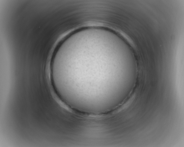 X0000113940840200910021301