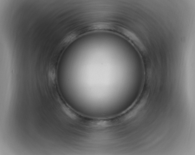 X0000113940841200910021301