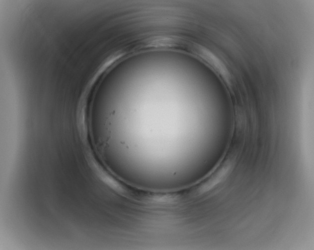 X0000113940843200910021301