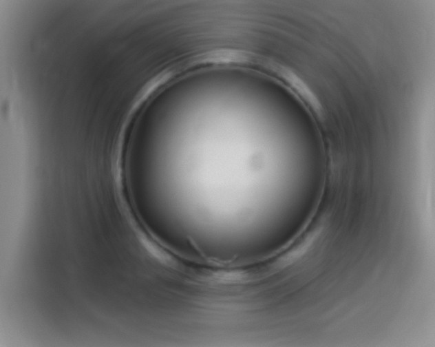 X0000113940845200910021301