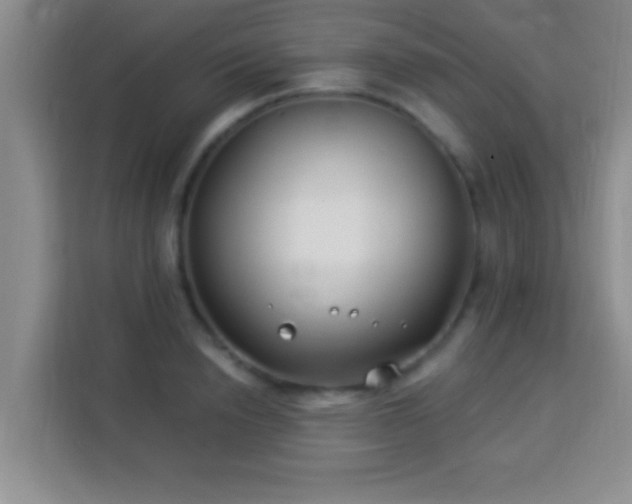 X0000113940846200910021301