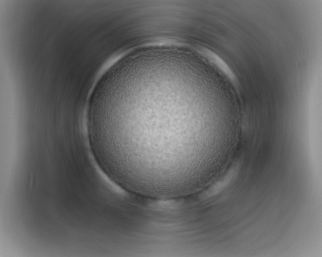 X0000113940847200910021301