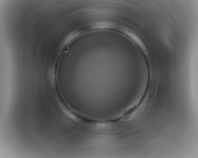 X0000113940850200910021301