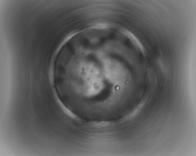 X0000113940851200910021301