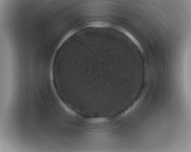 X0000113940853200910021301