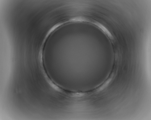 X0000113940854200910021301