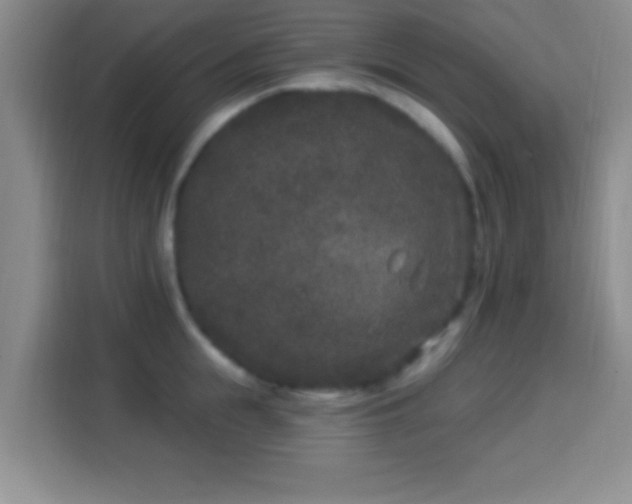 X0000113940855200910021301