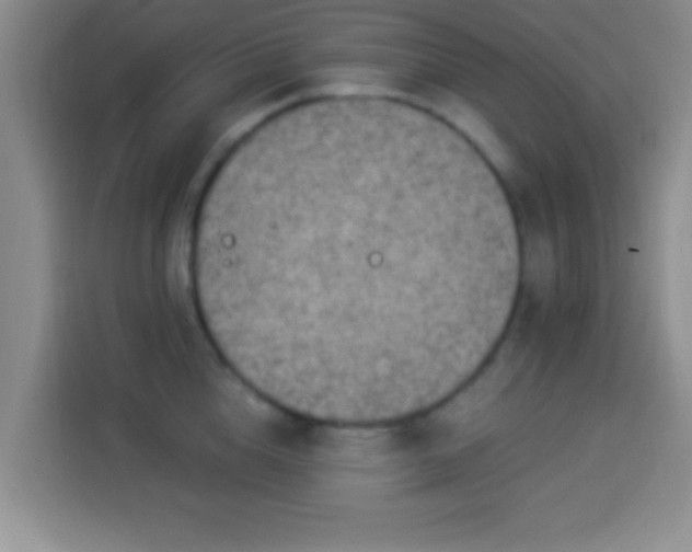 X0000113940856200910021301