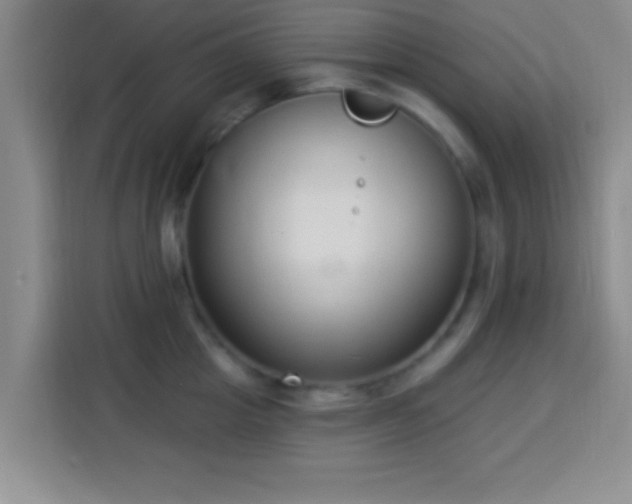 X0000113940857200910021301