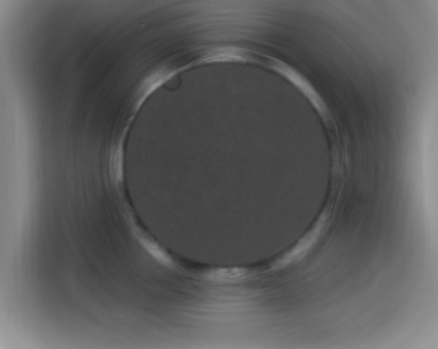 X0000113940858200910021301