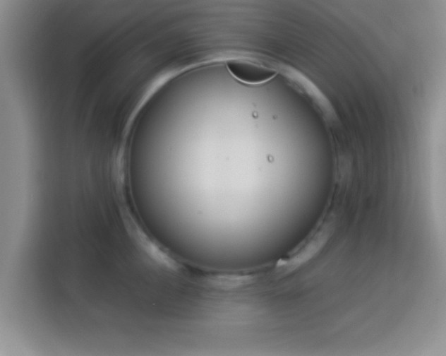 X0000113940860200910021301