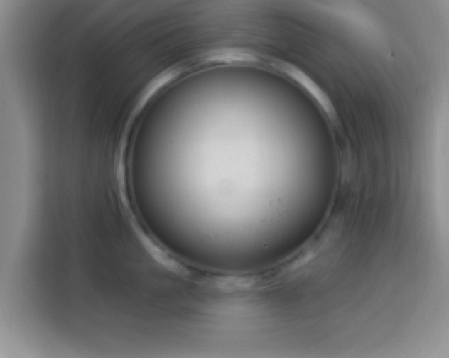 X0000113940861200910021301