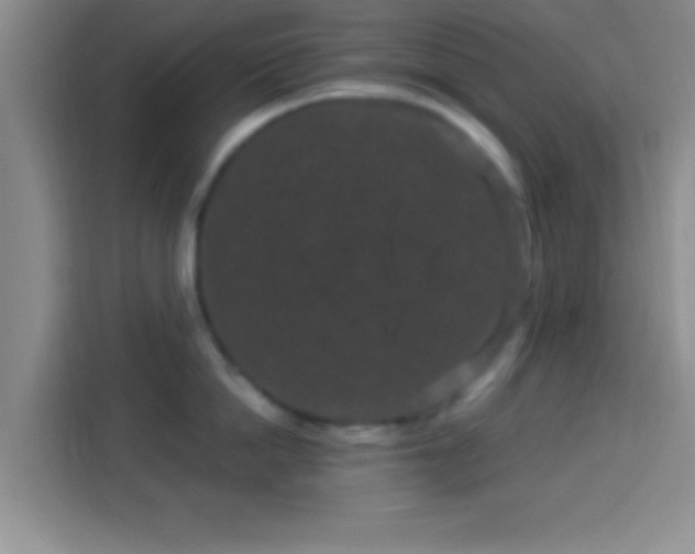 X0000113940862200910021301