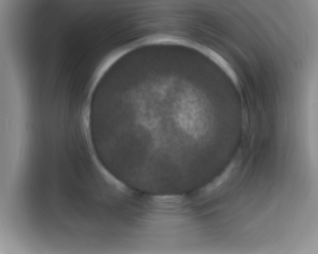 X0000113940863200910021301