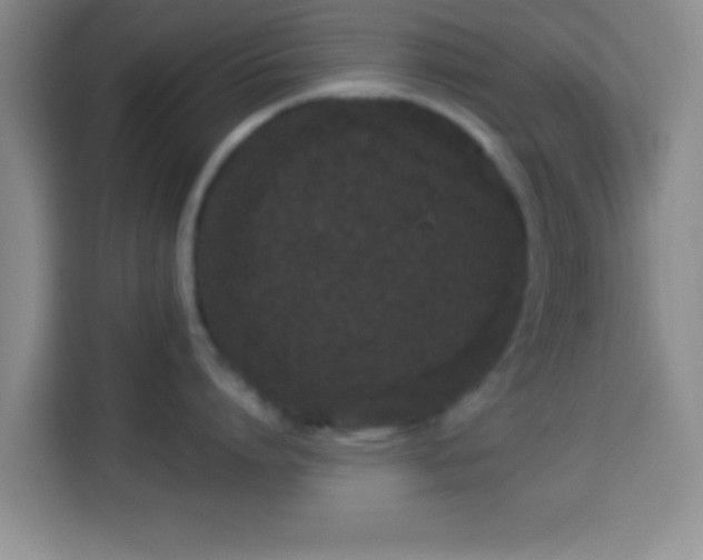 X0000113940864200910021301