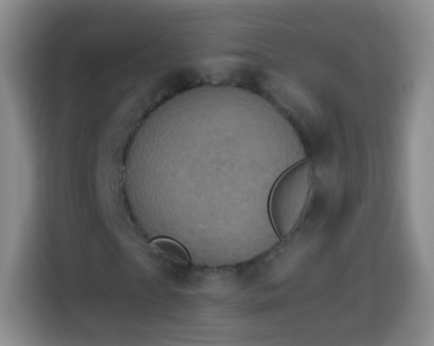 X0000113940865200910021300