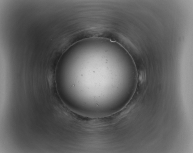 X0000113940867200910021300