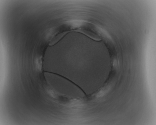 X0000113940868200910021300