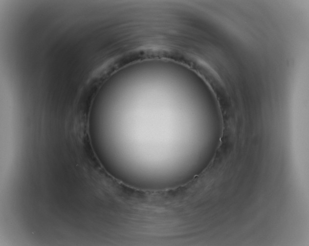 X0000113940870200910021300