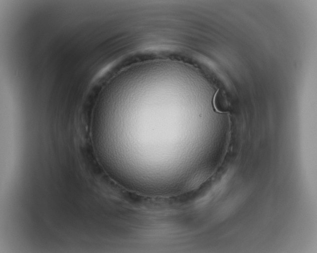 X0000113940871200910021300