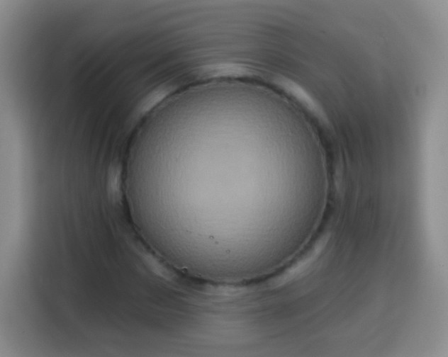 X0000113940873200910021300