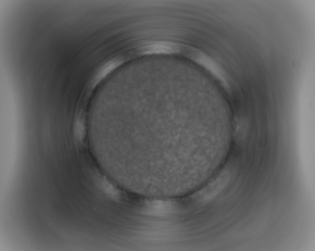 X0000113940874200910021300