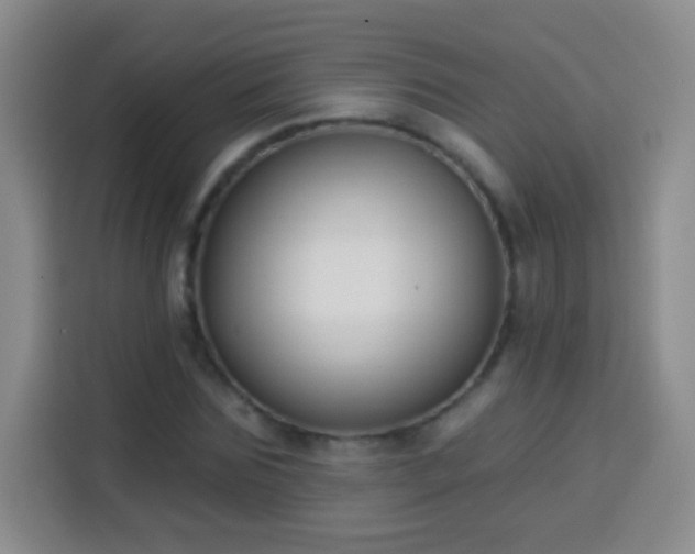 X0000113940875200910021300