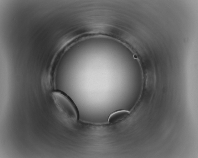 X0000113940876200910021300