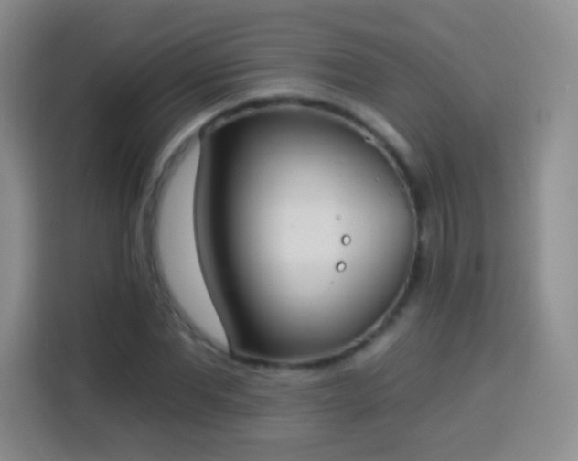 X0000113940877200910021300