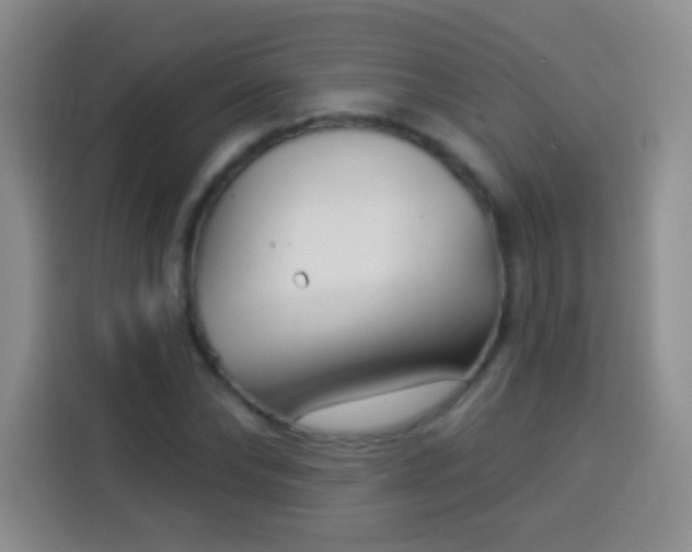 X0000113940878200910021300