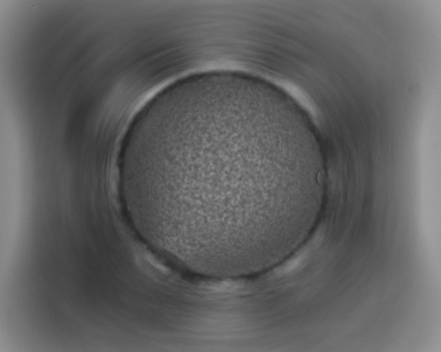 X0000113940879200910021300