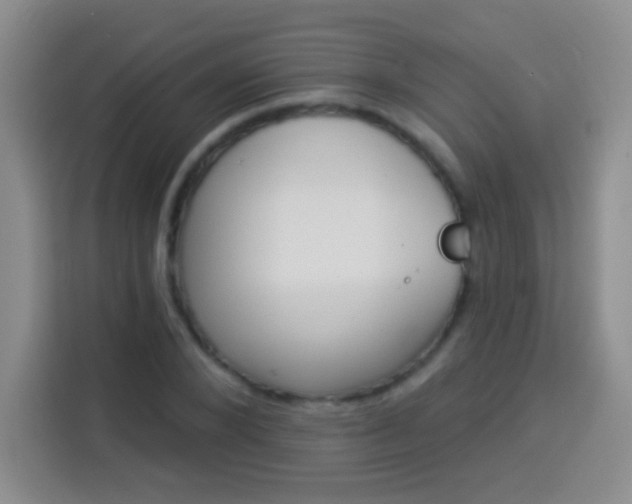 X0000113940880200910021300