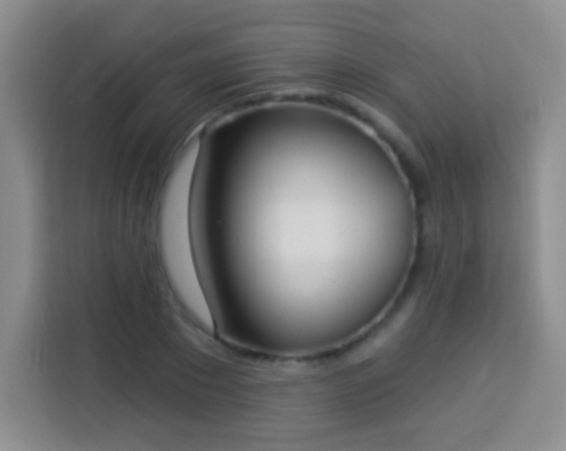 X0000113940881200910021300