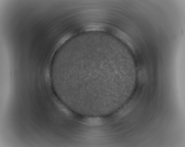 X0000113940882200910021300