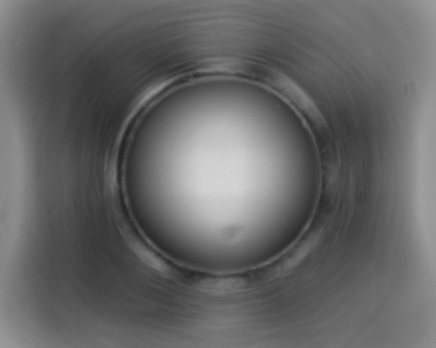 X0000113940884200910021300