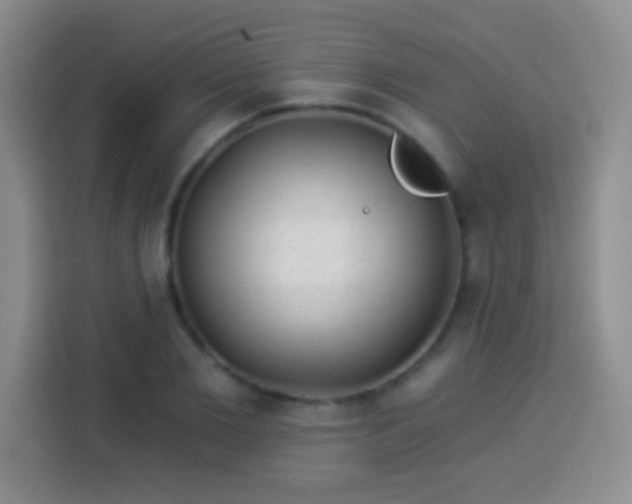 X0000113940885200910021300