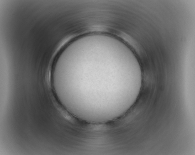 X0000113940886200910021300