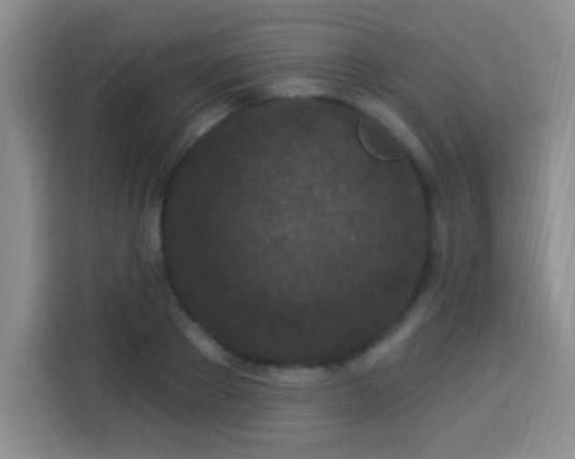 X0000113940889200910021300